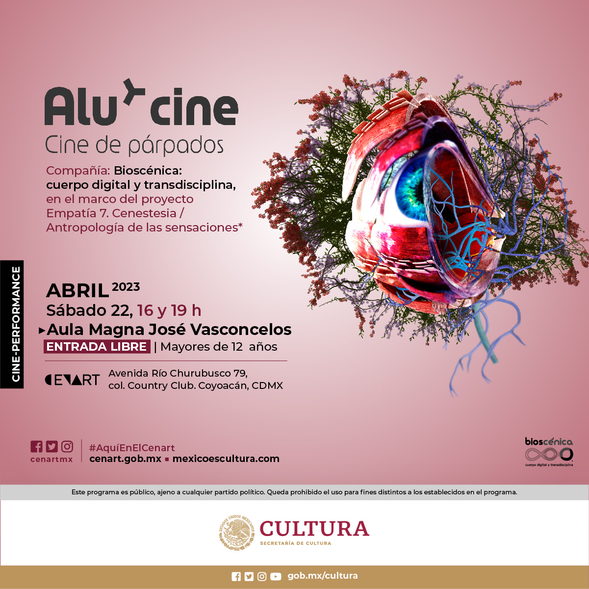 Alu*Cine o Cine de Párpados