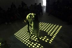 Simbiosis_empatía3.0@MinervaHdz040