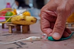 LabCo_CORO2EuridiceNavarro_16