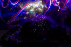 CuerpoLumínico_Fisioglifos_FAN2019_©Bioscenica_EN03